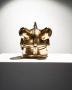 1/1 Gold 3D printed Draco x Astro Helmet